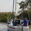 Absegeln 2017