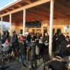 Nikolo 2017